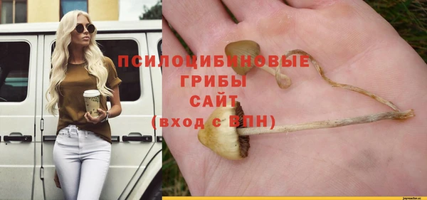 крисы Вяземский