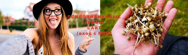 дурь Волоколамск