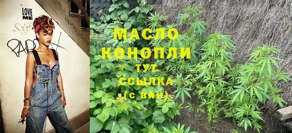 спиды Горняк
