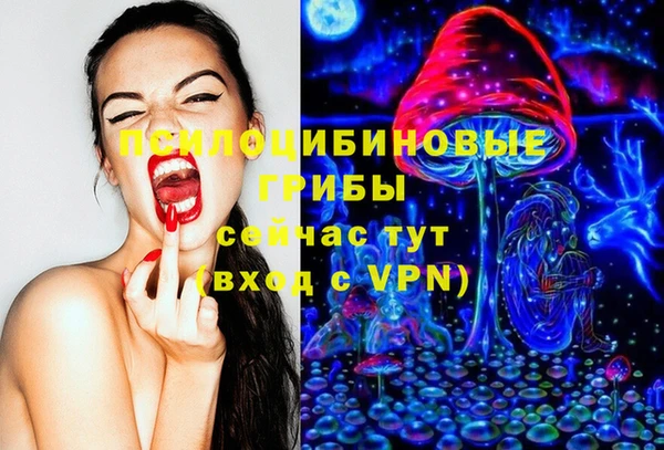 дурь Волоколамск