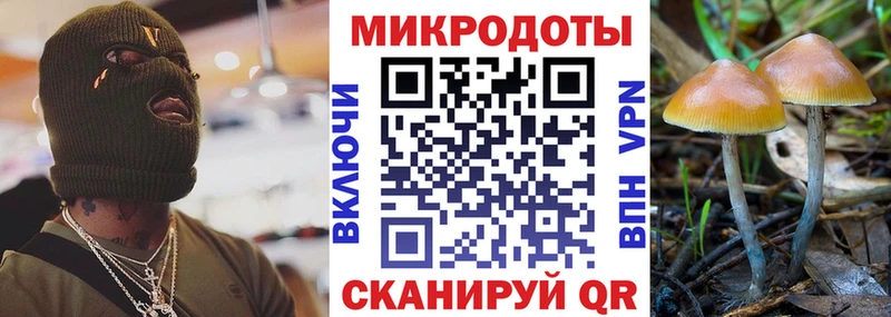 OMG вход Жирновск Галлюциногенные грибы Cubensis
